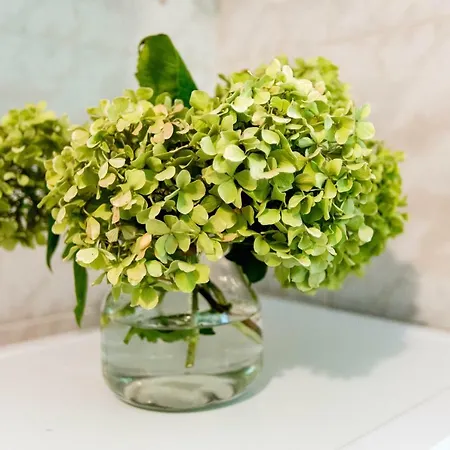 Villa-piedralaves-amatalasvinas-piscina-4 Viviendas *